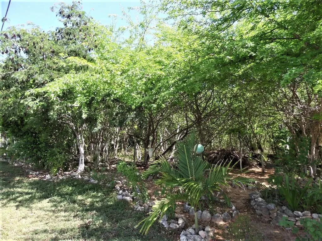 Hamilton's Lot Long Island BS