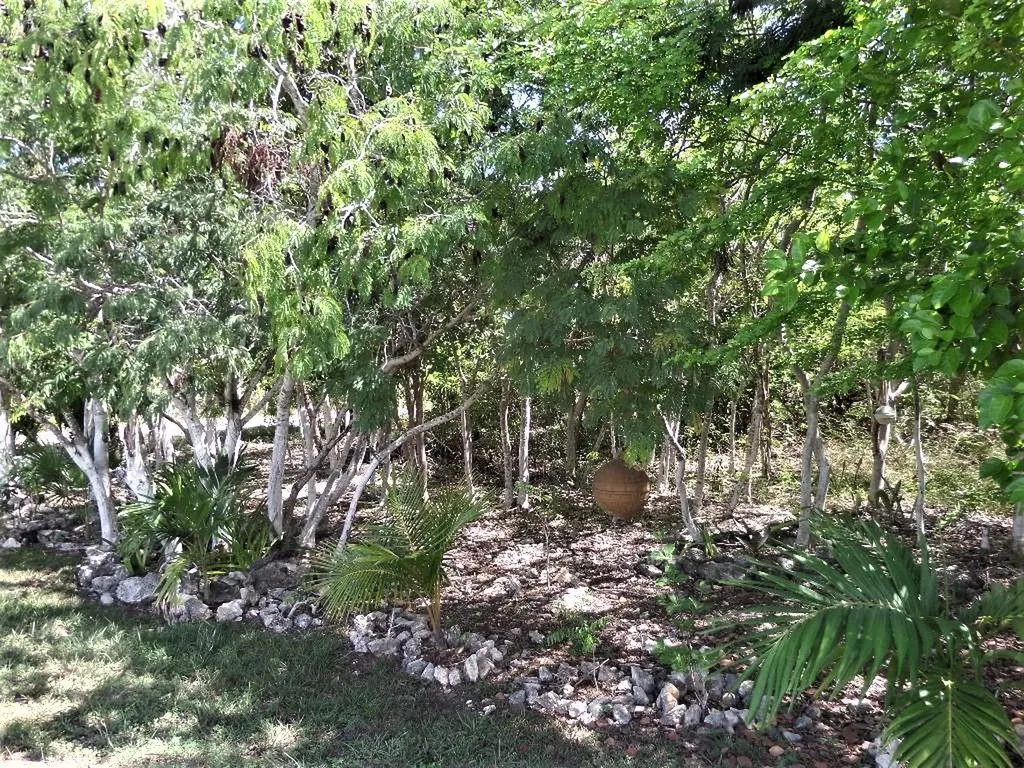 Hamilton's Lot Long Island BS