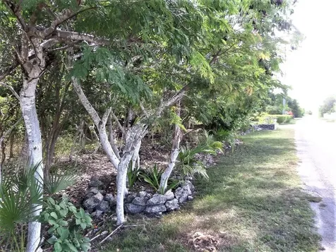 Hamilton's Lot Long Island BS