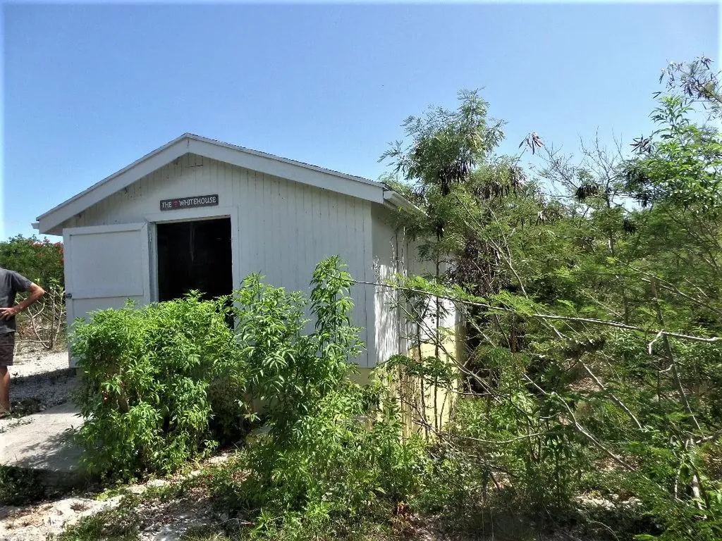 Hamilton's Long Island BS