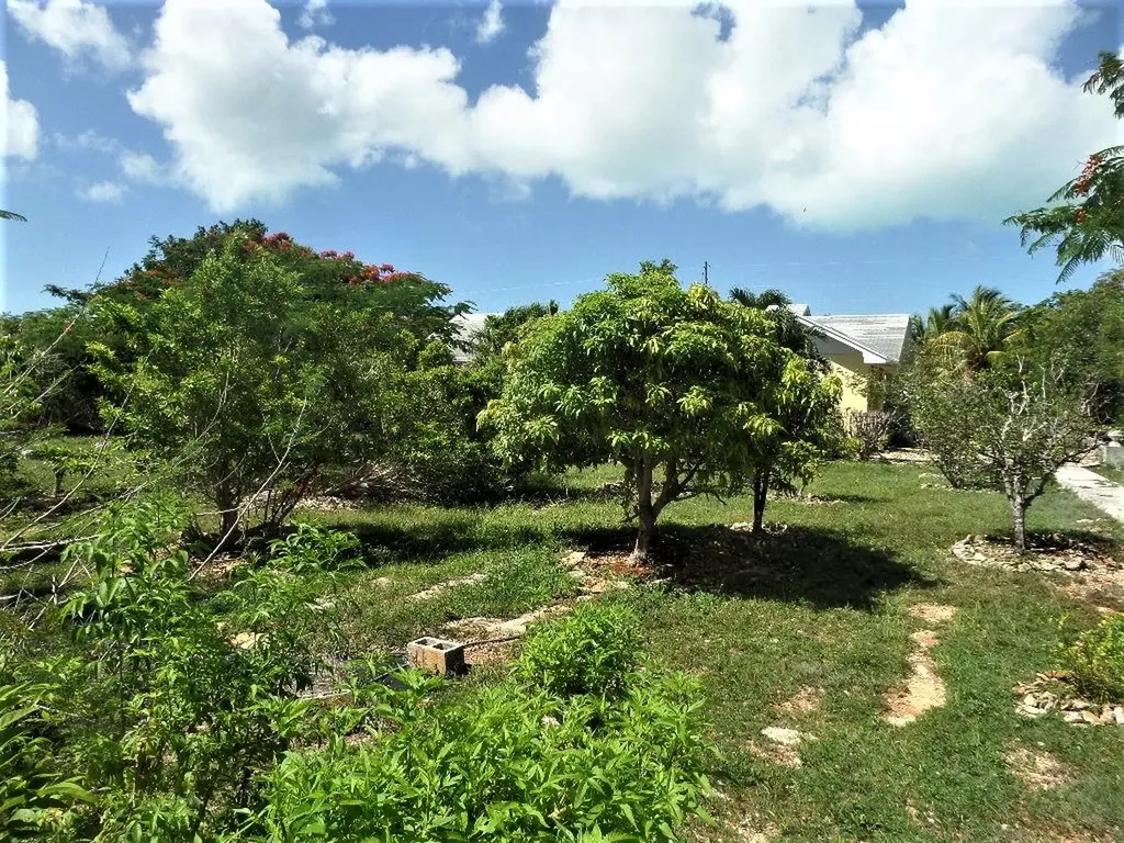 Hamilton's Long Island BS