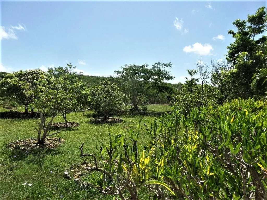 Hamilton's Long Island BS