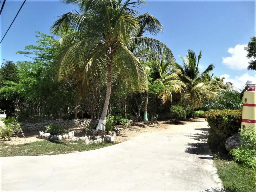 Hamilton's Long Island BS