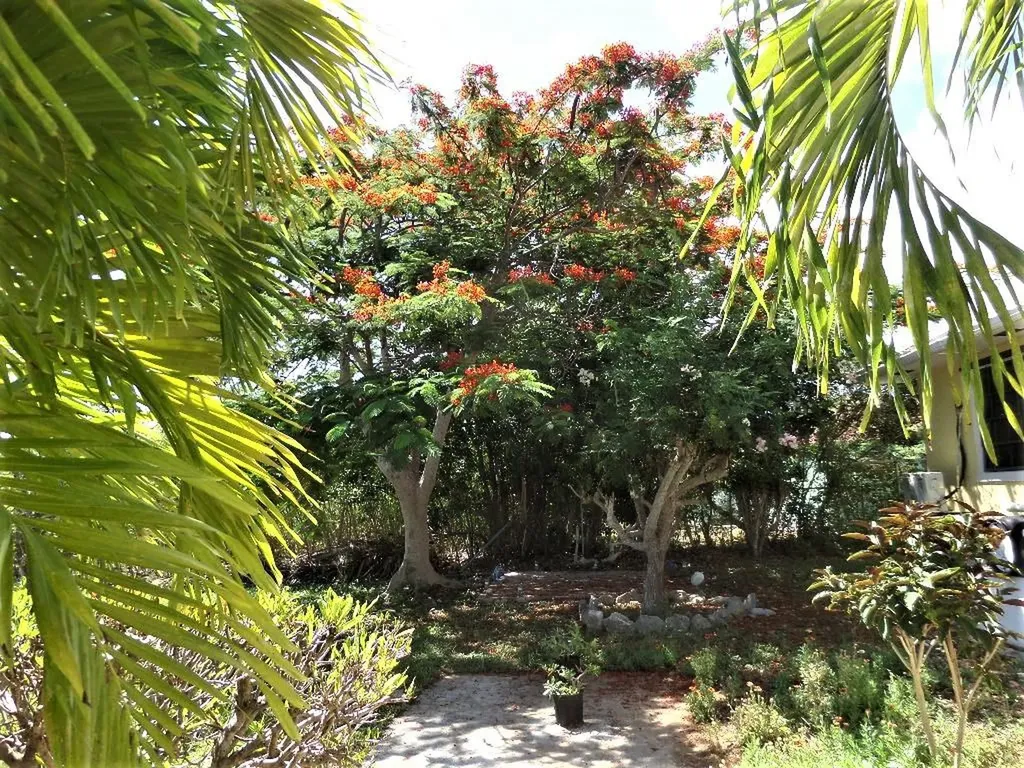 Hamilton's Long Island BS