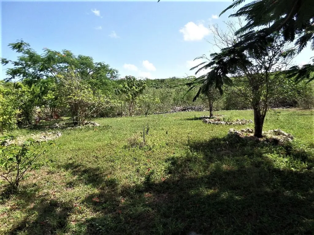 Hamilton's Long Island BS