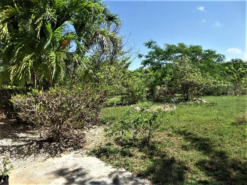 Hamilton's Long Island BS