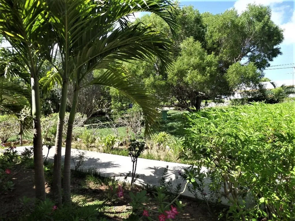 Hamilton's Long Island BS