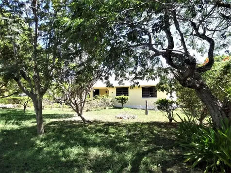 Hamilton's Long Island BS