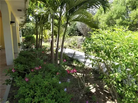 Hamilton's Long Island BS