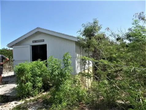 Hamilton's Long Island BS