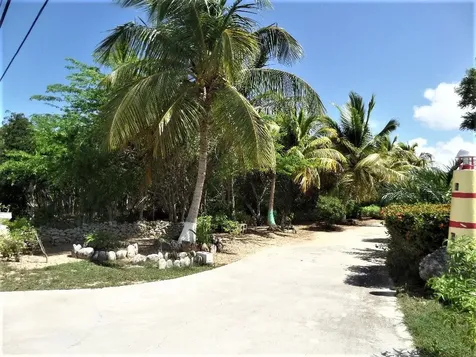 Hamilton's Long Island BS