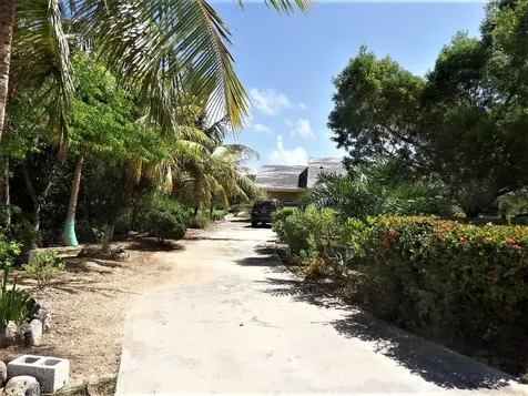 Hamilton's Long Island BS