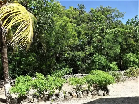 Hamilton's Long Island BS