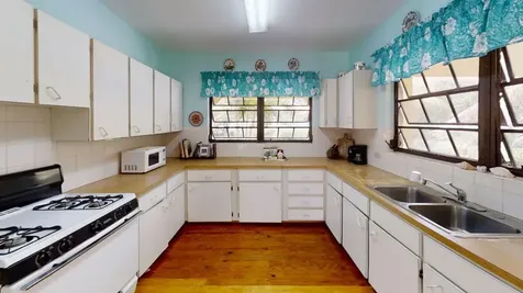 Hamilton's Long Island BS