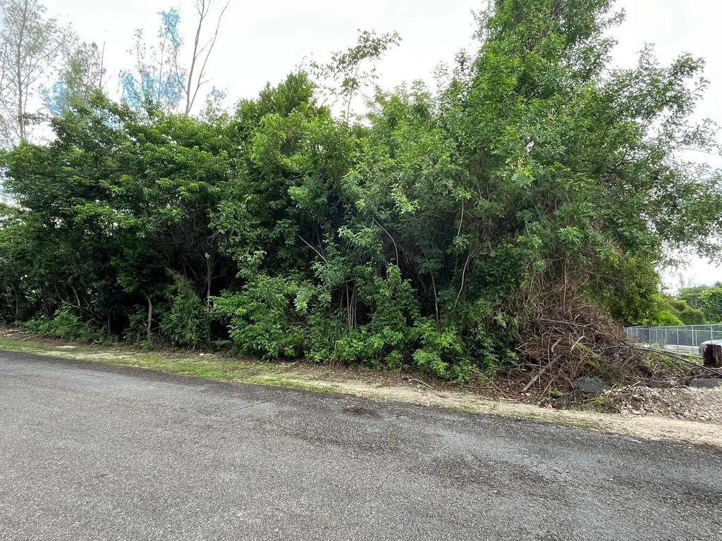 Jacaranda Estates 76 A New Providence Paradise Island BS