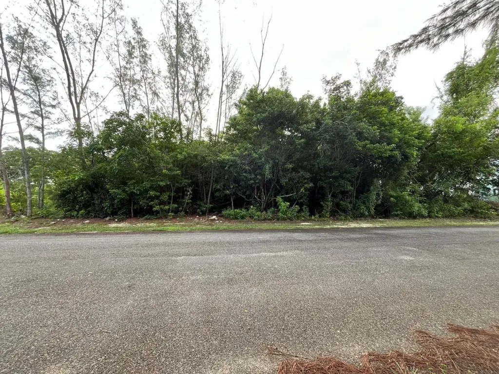 Jacaranda Estates 76 A New Providence Paradise Island BS