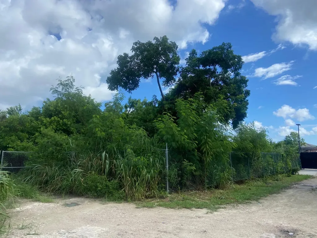 Lot On Carrol's Way New Providence Paradise Island BS