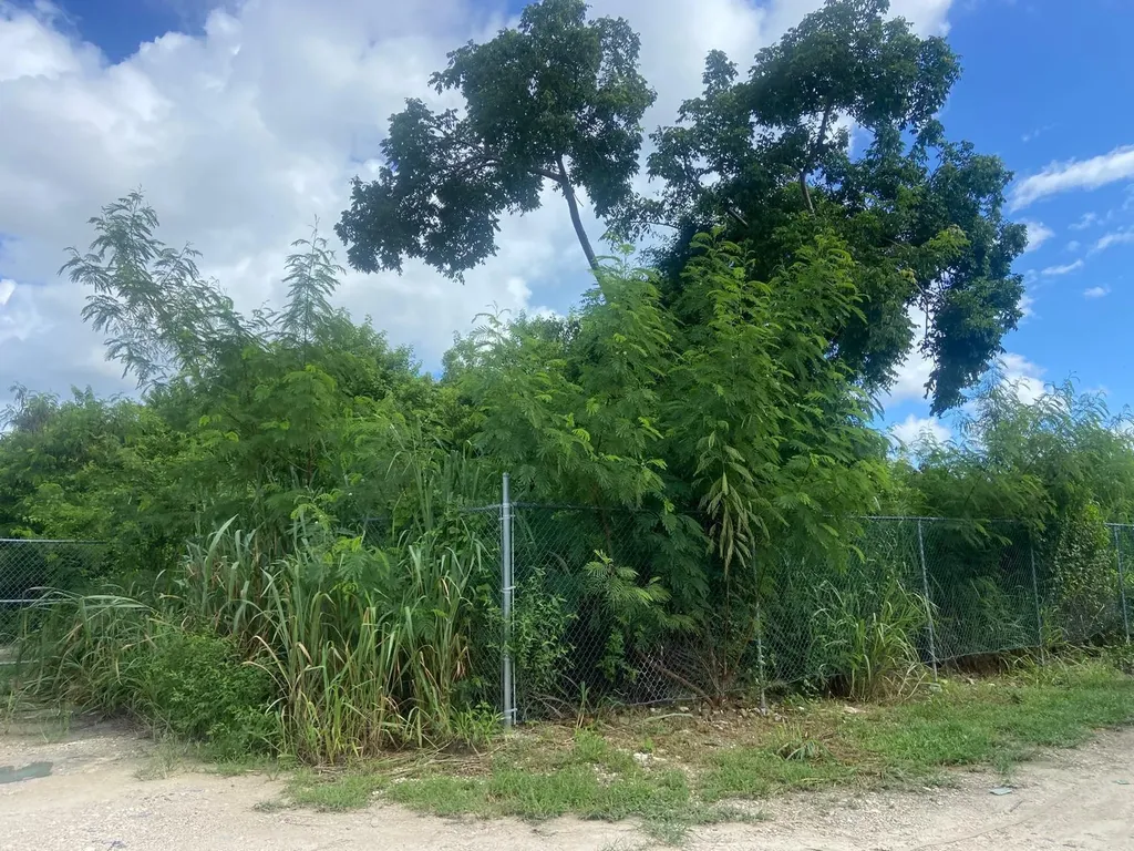 Lot On Carrol's Way New Providence Paradise Island BS