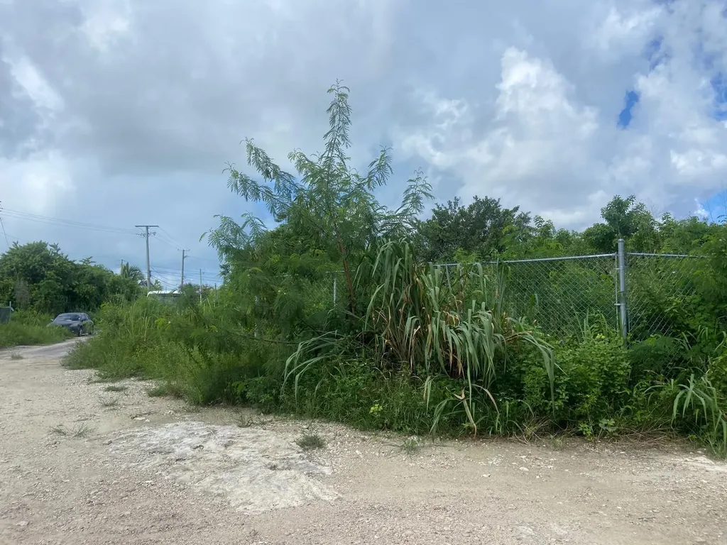 Lot On Carrol's Way New Providence Paradise Island BS