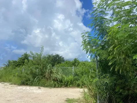 Lot On Carrol's Way New Providence Paradise Island BS