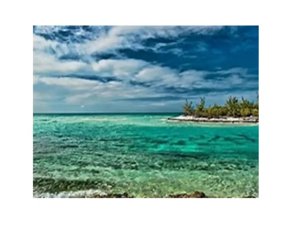 Sea Glass Beach Cat Isla Cat Island BS