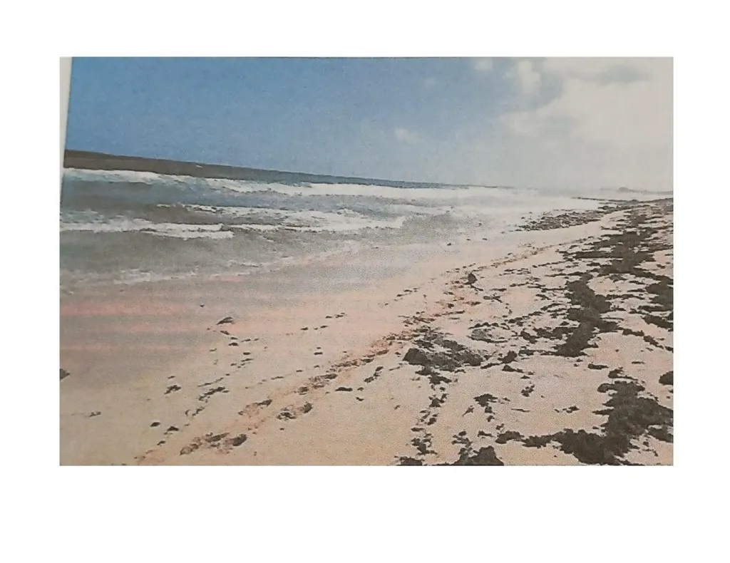 Sea Glass Beach Cat Isla Cat Island BS