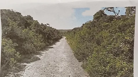 Sea Glass Beach Cat Isla Cat Island BS