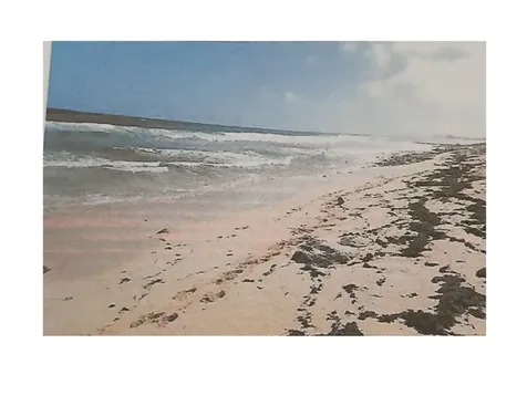 Sea Glass Beach Cat Isla Cat Island BS