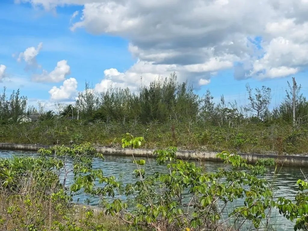 Morecambe Drive Grand Bahama Freeport BS