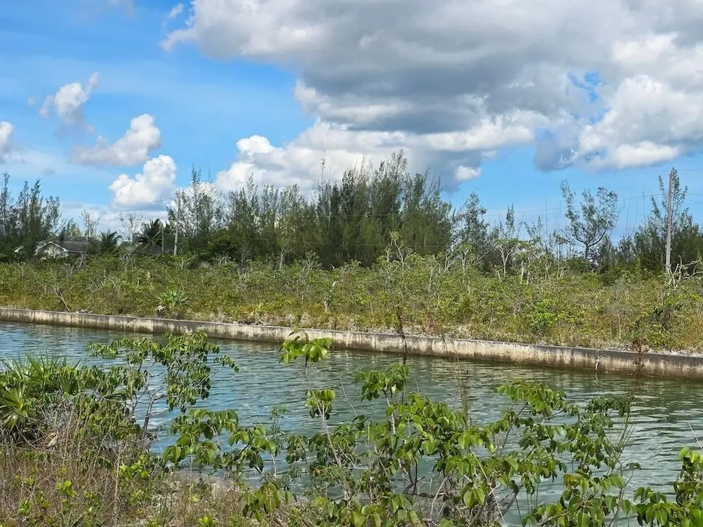 Morecambe Drive Grand Bahama Freeport BS