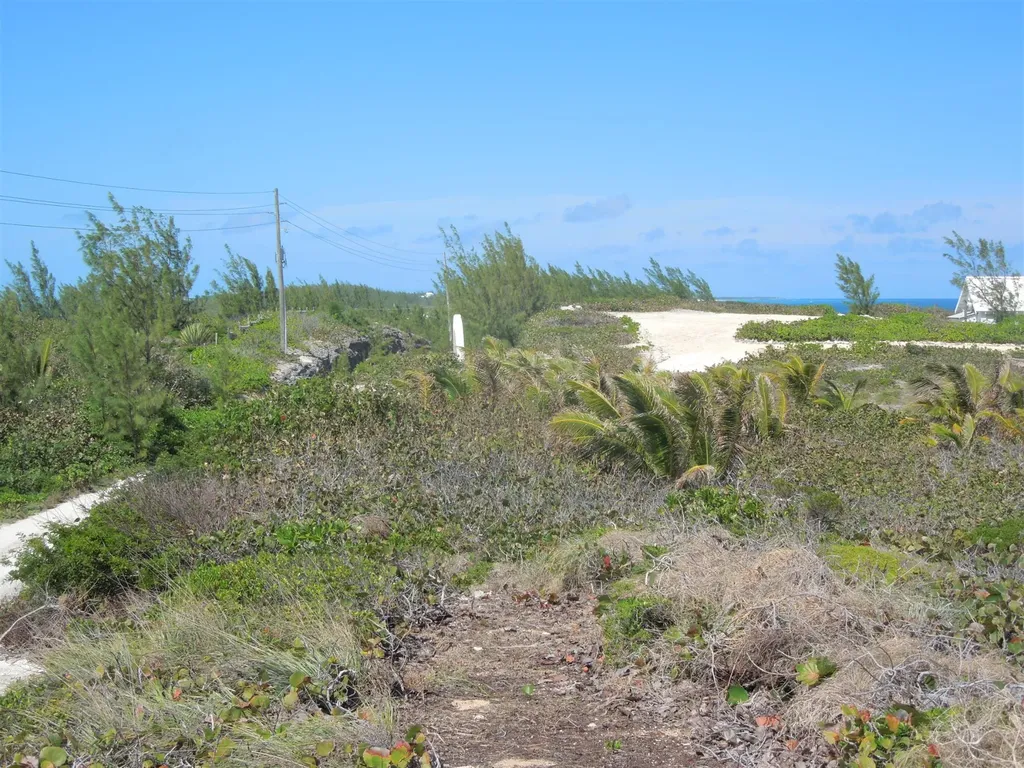 Whale Point Estates Eleuthera BS