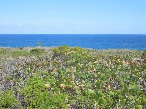 Whale Point Estates Eleuthera BS