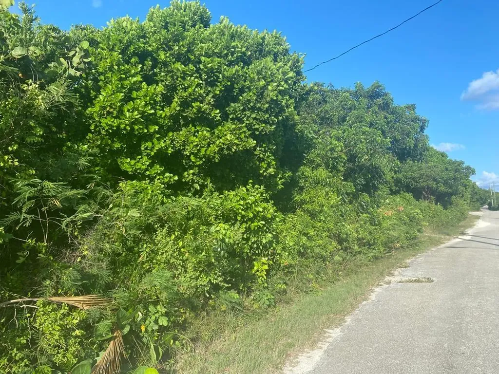 James Cistern, Eleuthera Eleuthera BS