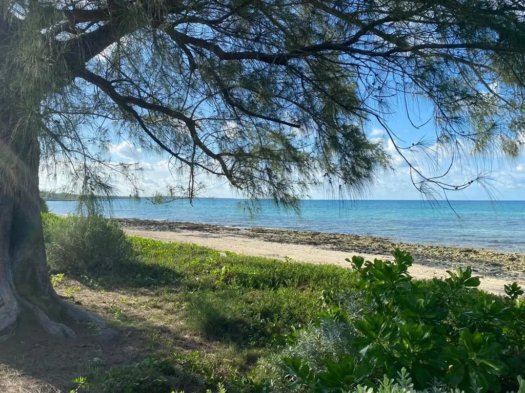 James Cistern, Eleuthera Eleuthera BS