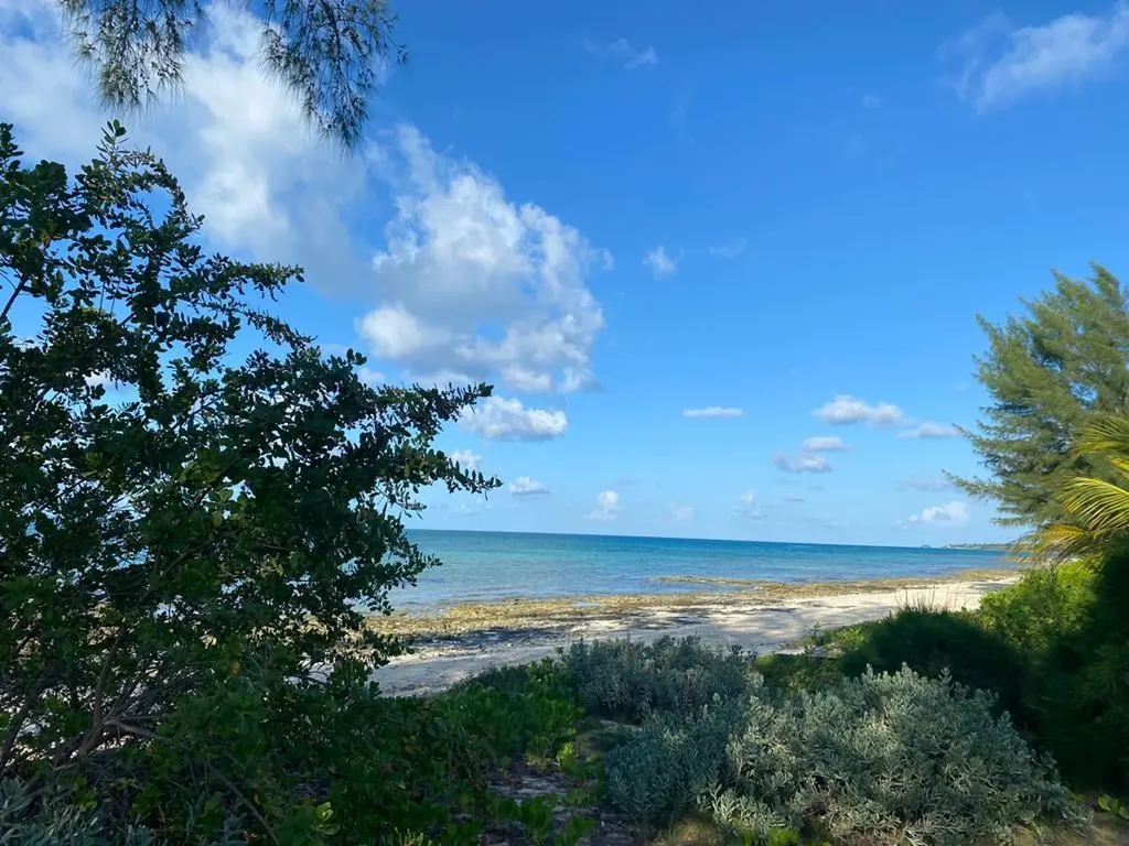 James Cistern, Eleuthera Eleuthera BS
