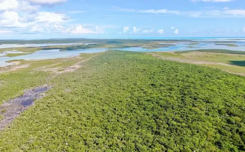 Big Bullard Cay Exuma BS