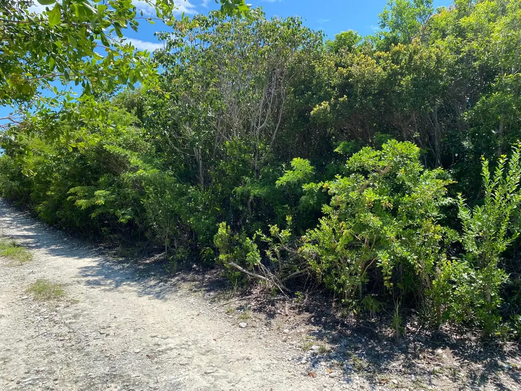 Eleuthera Island Shores Eleuthera BS