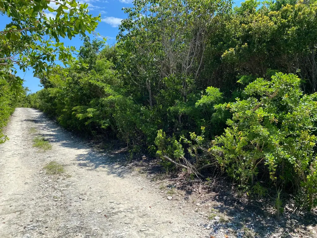 Eleuthera Island Shores Eleuthera BS