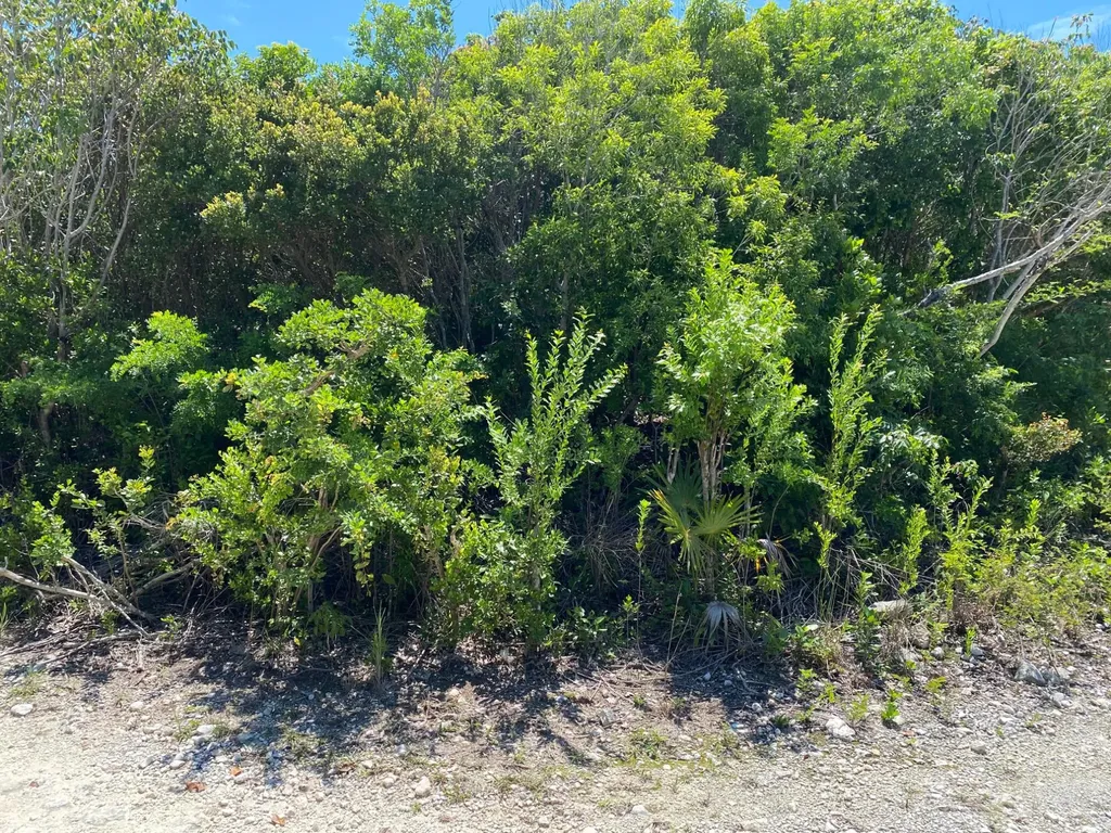 Eleuthera Island Shores Eleuthera BS