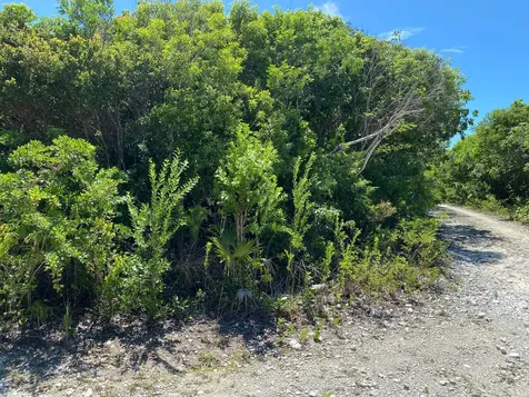 Eleuthera Island Shores Eleuthera BS