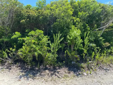 Eleuthera Island Shores Eleuthera BS