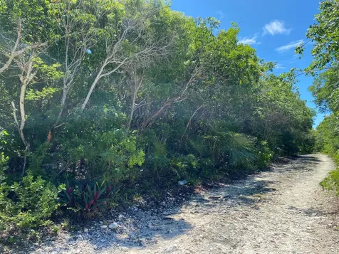 Eleuthera Island Shores Eleuthera BS