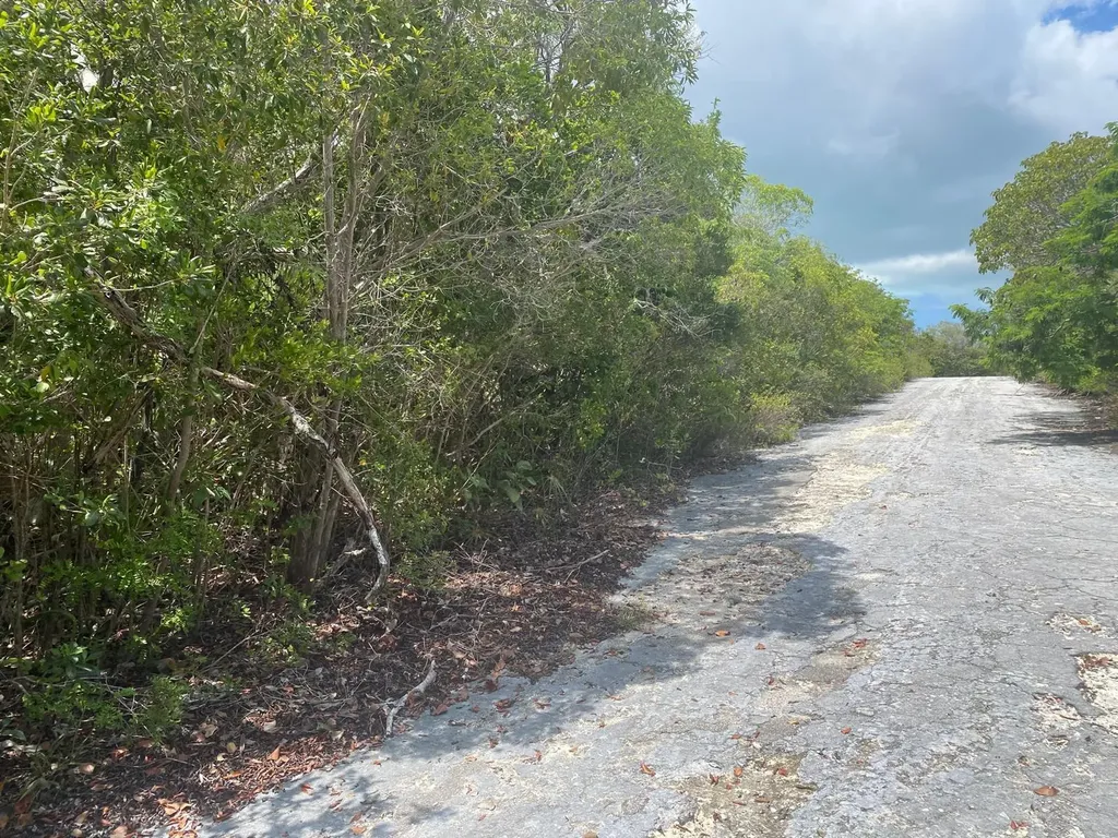 Stella Maris, Long Island Long Island BS