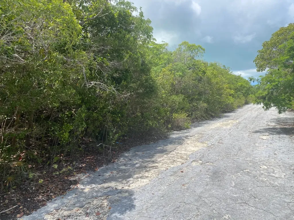 Stella Maris, Long Island Long Island BS