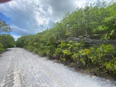 Stella Maris, Long Island Long Island BS