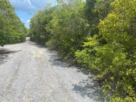 Stella Maris, Long Island Long Island BS