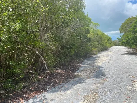 Stella Maris, Long Island Long Island BS