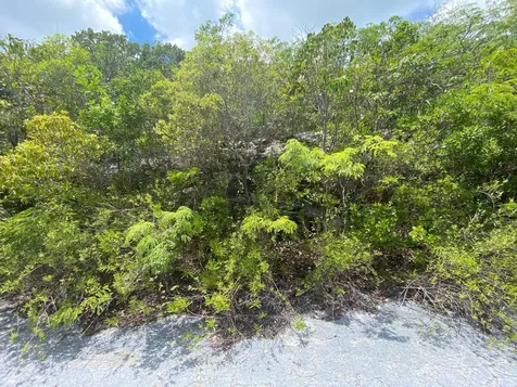 Stella Maris, Long Island Long Island BS