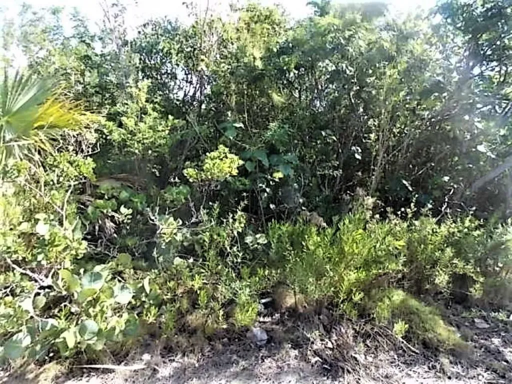Stella Maris Lot Long Island BS