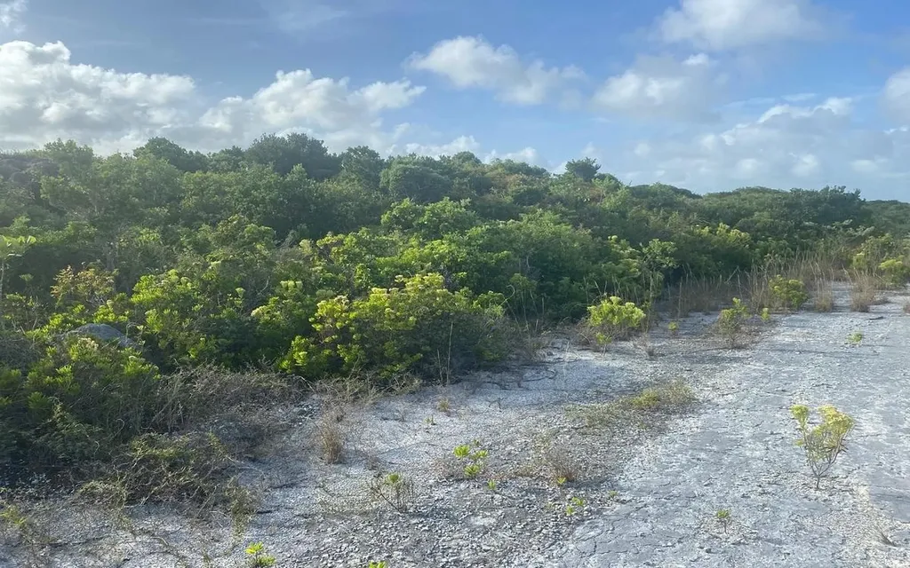 Columbus Landing 1 San Salvador BS